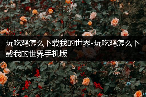 玩吃鸡怎么下载我的世界-玩吃鸡怎么下载我的世界手机版