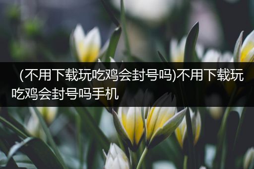 （不用下载玩吃鸡会封号吗)不用下载玩吃鸡会封号吗手机