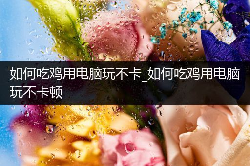 如何吃鸡用电脑玩不卡_如何吃鸡用电脑玩不卡顿