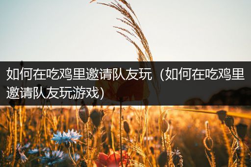如何在吃鸡里邀请队友玩（如何在吃鸡里邀请队友玩游戏）