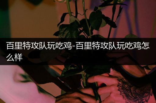 百里特攻队玩吃鸡-百里特攻队玩吃鸡怎么样
