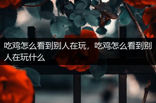 吃鸡怎么看到别人在玩，吃鸡怎么看到别人在玩什么