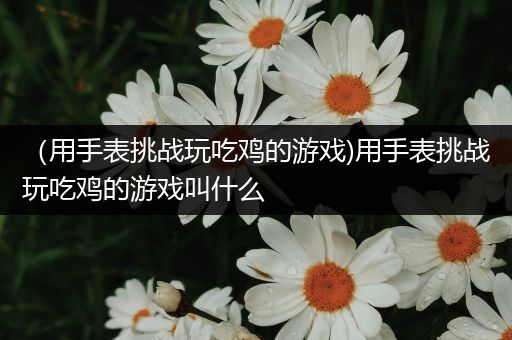 （用手表挑战玩吃鸡的游戏)用手表挑战玩吃鸡的游戏叫什么