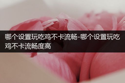 哪个设置玩吃鸡不卡流畅-哪个设置玩吃鸡不卡流畅度高