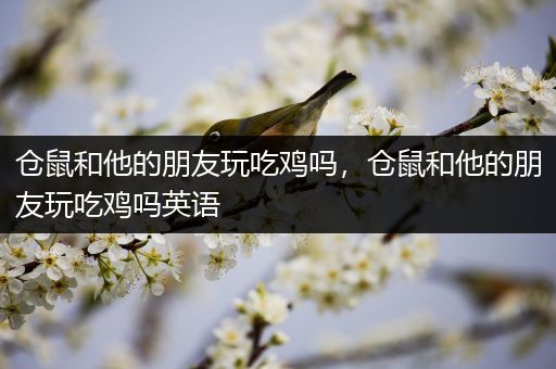 仓鼠和他的朋友玩吃鸡吗，仓鼠和他的朋友玩吃鸡吗英语
