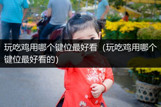 玩吃鸡用哪个键位最好看（玩吃鸡用哪个键位最好看的）