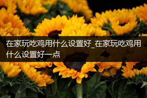 在家玩吃鸡用什么设置好_在家玩吃鸡用什么设置好一点