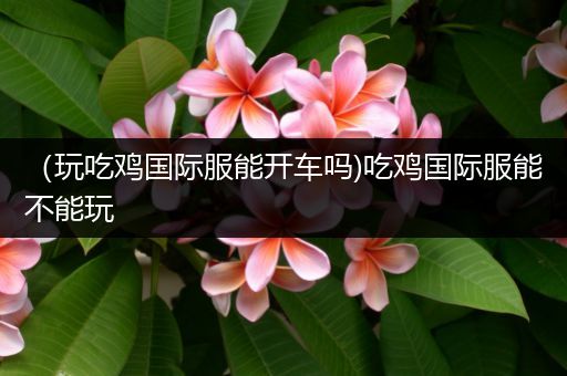 （玩吃鸡国际服能开车吗)吃鸡国际服能不能玩