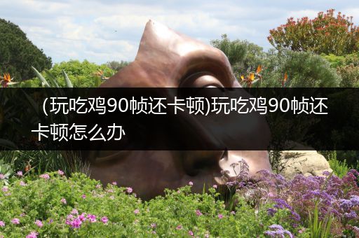 （玩吃鸡90帧还卡顿)玩吃鸡90帧还卡顿怎么办