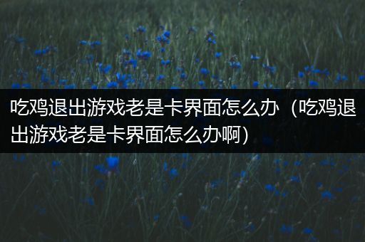 吃鸡退出游戏老是卡界面怎么办（吃鸡退出游戏老是卡界面怎么办啊）