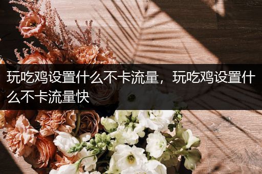 玩吃鸡设置什么不卡流量，玩吃鸡设置什么不卡流量快