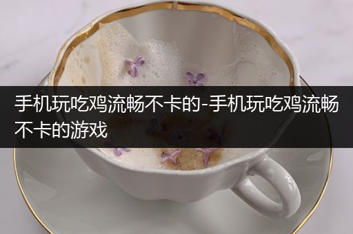 手机玩吃鸡流畅不卡的-手机玩吃鸡流畅不卡的游戏