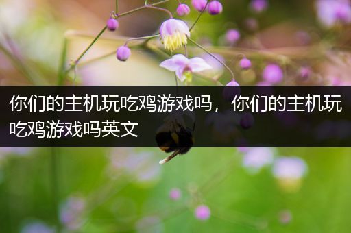你们的主机玩吃鸡游戏吗，你们的主机玩吃鸡游戏吗英文