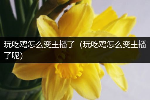 玩吃鸡怎么变主播了（玩吃鸡怎么变主播了呢）