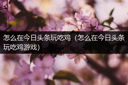 怎么在今日头条玩吃鸡（怎么在今日头条玩吃鸡游戏）