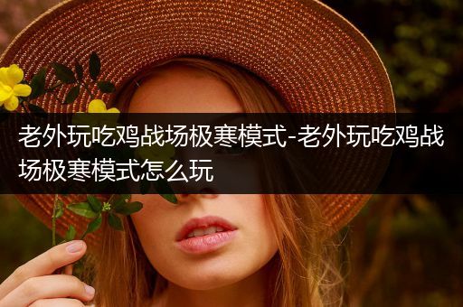 老外玩吃鸡战场极寒模式-老外玩吃鸡战场极寒模式怎么玩