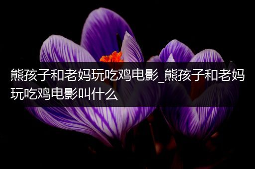 熊孩子和老妈玩吃鸡电影_熊孩子和老妈玩吃鸡电影叫什么