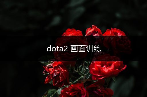 dota2 画面训练