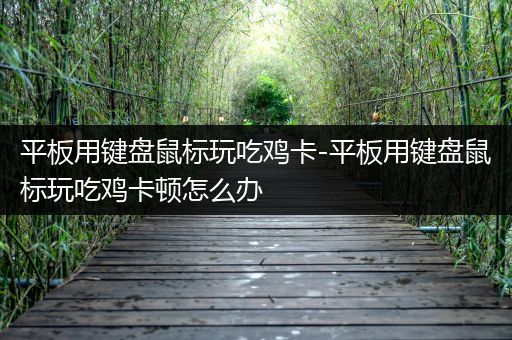 平板用键盘鼠标玩吃鸡卡-平板用键盘鼠标玩吃鸡卡顿怎么办