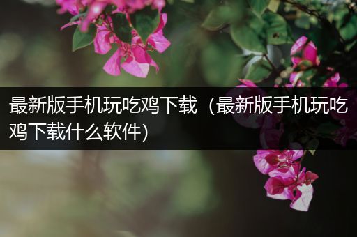 最新版手机玩吃鸡下载（最新版手机玩吃鸡下载什么软件）