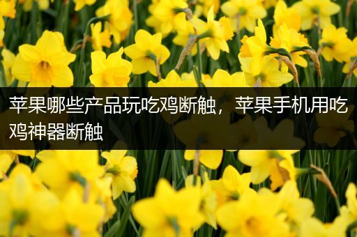 苹果哪些产品玩吃鸡断触，苹果手机用吃鸡神器断触