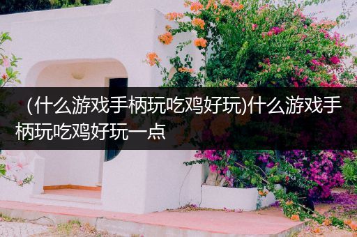 （什么游戏手柄玩吃鸡好玩)什么游戏手柄玩吃鸡好玩一点