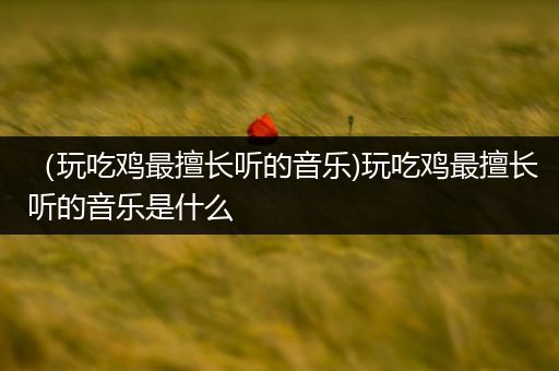 （玩吃鸡最擅长听的音乐)玩吃鸡最擅长听的音乐是什么