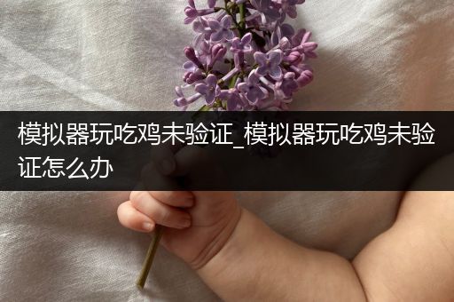 模拟器玩吃鸡未验证_模拟器玩吃鸡未验证怎么办