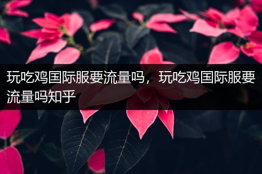 玩吃鸡国际服要流量吗，玩吃鸡国际服要流量吗知乎