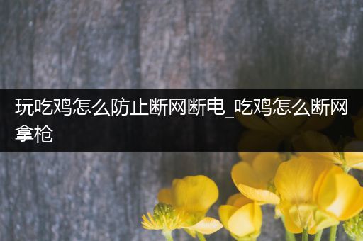 玩吃鸡怎么防止断网断电_吃鸡怎么断网拿枪