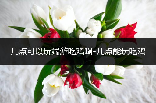 几点可以玩端游吃鸡啊-几点能玩吃鸡