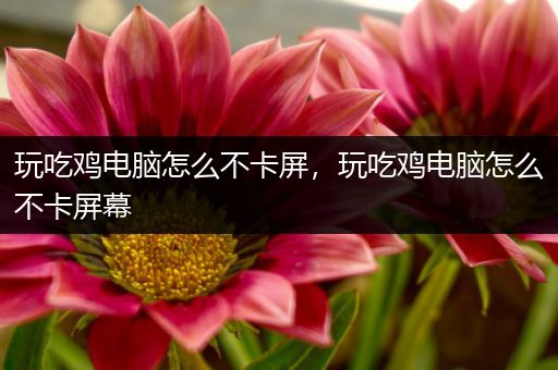 玩吃鸡电脑怎么不卡屏，玩吃鸡电脑怎么不卡屏幕