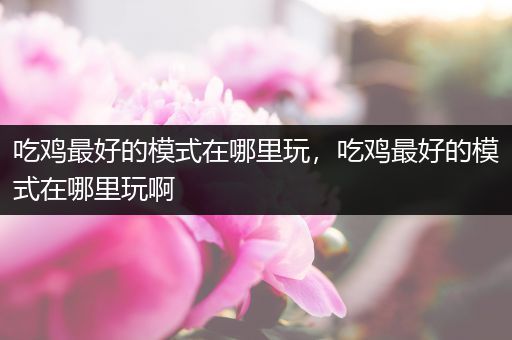 吃鸡最好的模式在哪里玩，吃鸡最好的模式在哪里玩啊