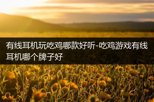 有线耳机玩吃鸡哪款好听-吃鸡游戏有线耳机哪个牌子好