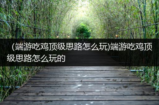 （端游吃鸡顶级思路怎么玩)端游吃鸡顶级思路怎么玩的