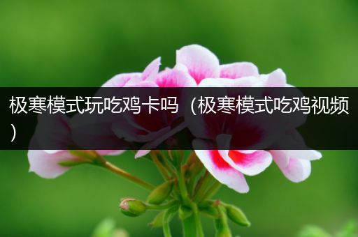 极寒模式玩吃鸡卡吗（极寒模式吃鸡视频）