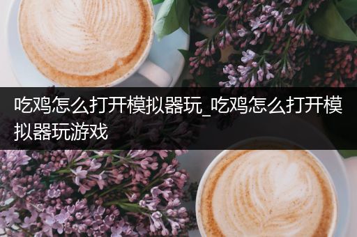 吃鸡怎么打开模拟器玩_吃鸡怎么打开模拟器玩游戏