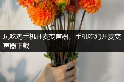 玩吃鸡手机开麦变声器，手机吃鸡开麦变声器下载