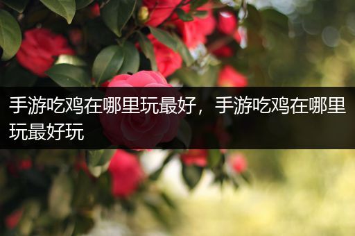 手游吃鸡在哪里玩最好，手游吃鸡在哪里玩最好玩