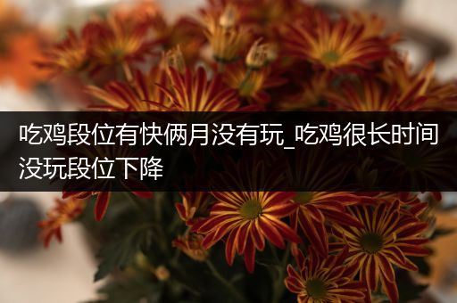 吃鸡段位有快俩月没有玩_吃鸡很长时间没玩段位下降