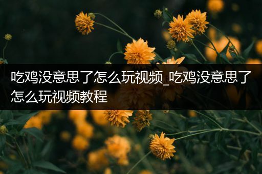 吃鸡没意思了怎么玩视频_吃鸡没意思了怎么玩视频教程