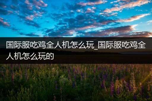 国际服吃鸡全人机怎么玩_国际服吃鸡全人机怎么玩的
