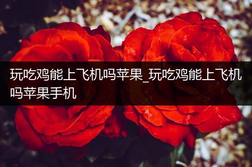 玩吃鸡能上飞机吗苹果_玩吃鸡能上飞机吗苹果手机