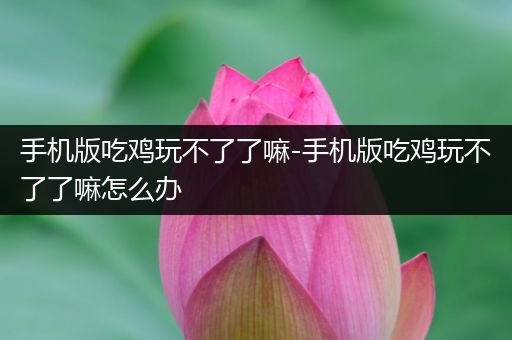 手机版吃鸡玩不了了嘛-手机版吃鸡玩不了了嘛怎么办