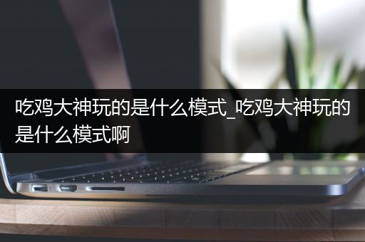 吃鸡大神玩的是什么模式_吃鸡大神玩的是什么模式啊