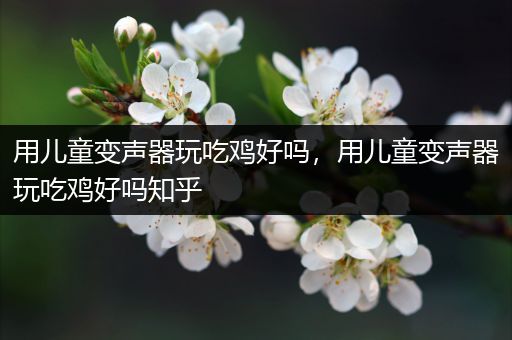 用儿童变声器玩吃鸡好吗，用儿童变声器玩吃鸡好吗知乎