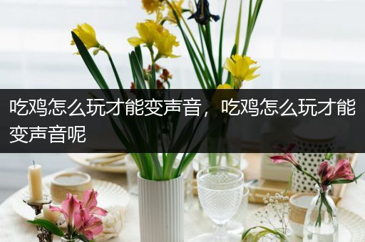 吃鸡怎么玩才能变声音，吃鸡怎么玩才能变声音呢