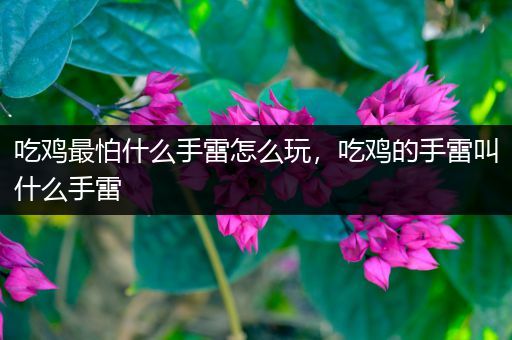 吃鸡最怕什么手雷怎么玩，吃鸡的手雷叫什么手雷