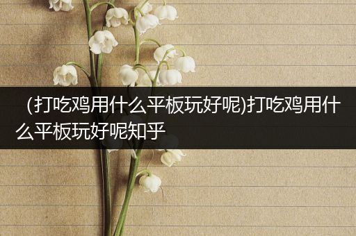 （打吃鸡用什么平板玩好呢)打吃鸡用什么平板玩好呢知乎