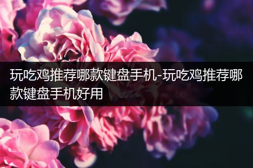 玩吃鸡推荐哪款键盘手机-玩吃鸡推荐哪款键盘手机好用